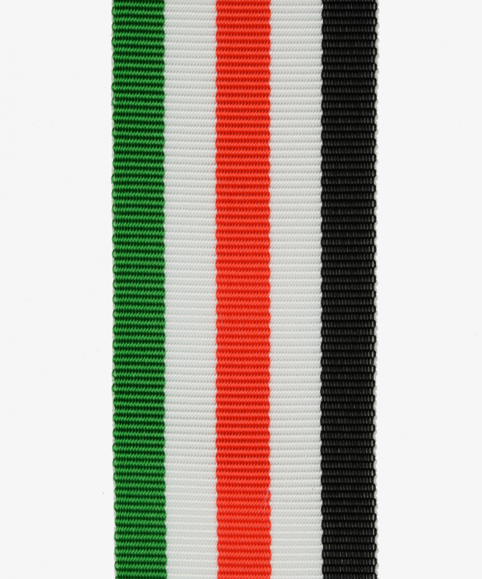 Deutsches Reich, Italienisch-deutsche Afrika-Erinnerungsmedaille, in Silber (84)